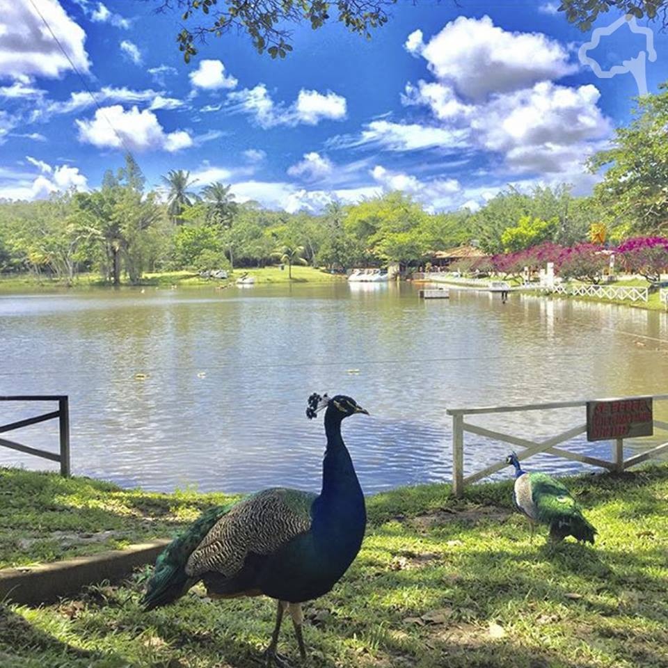 Bate e Volta Ecoparque Timbó 