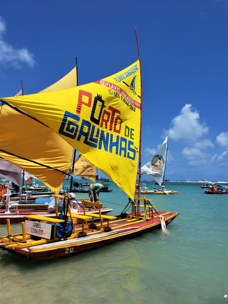 Porto de Galinhas e Carneiros 